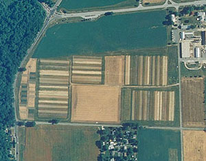 Aerial view of crop fields from the USDA Farming System Project